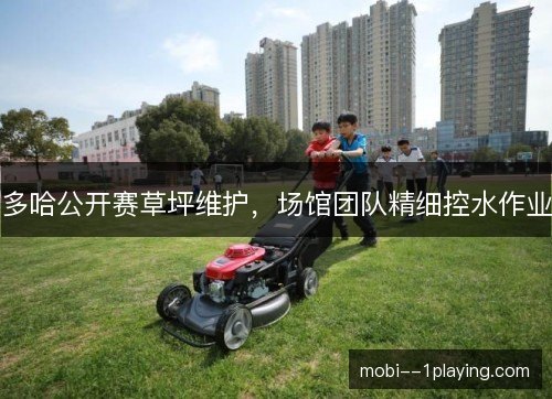 多哈公开赛草坪维护，场馆团队精细控水作业